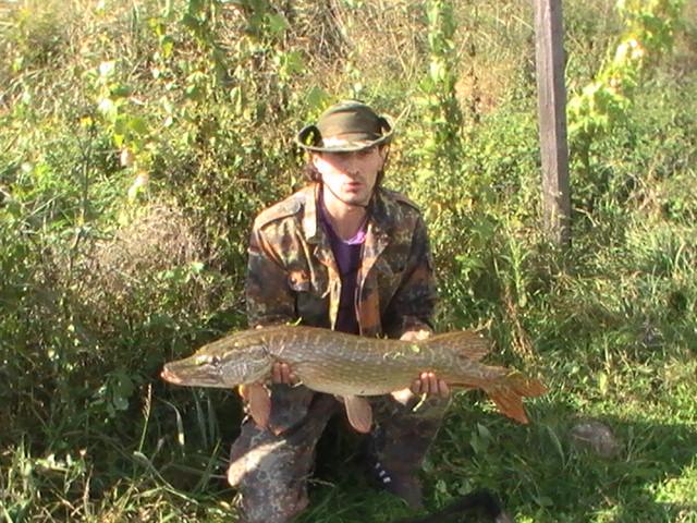 la rapitor - pic3730.JPG